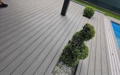 Premium | FOREST PLUS | Inox