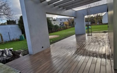 Premium | FOREST PLUS | Teak
