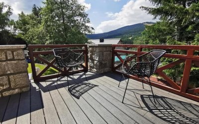 Premium | FOREST PLUS | Eben