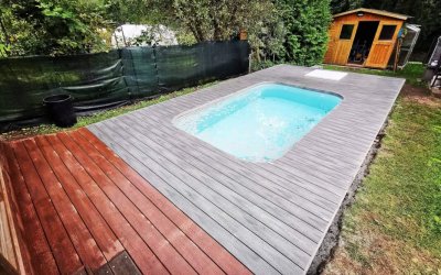 Premium | FOREST PLUS | inox + Premium | FOREST PLUS | Palisande