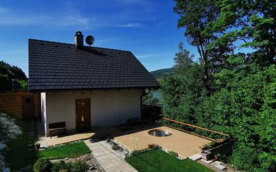 Premium | FOREST PLUS | Cedar